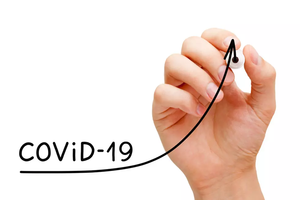 COVID Spike Predictions Validated in Chenango, Delaware, and Otsego Counties
